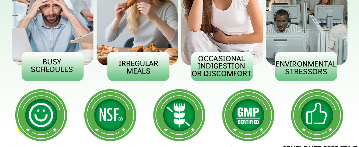Zinc Carnosine & Mastic Gum Capsules with DGL Gut Lining Supplement 120 Ct - Product scene 6